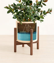 Load image into Gallery viewer, Cream stand:walnut