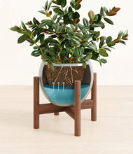 Load image into Gallery viewer, Deep Ocean stand:walnut