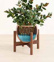 Load image into Gallery viewer, Calm Rose stand:walnut