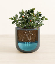 Load image into Gallery viewer, Iron Gray