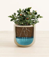 Load image into Gallery viewer, Sage Green