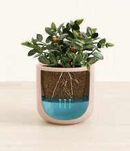 Load image into Gallery viewer, Sandy Pink