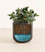 Load image into Gallery viewer, Stone Black