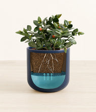 Load image into Gallery viewer, Twilight Blue