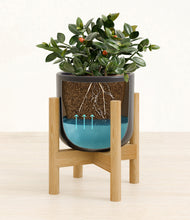 Load image into Gallery viewer, Stone Black stand:bamboo