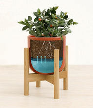 Load image into Gallery viewer, Glossy Red stand:bamboo