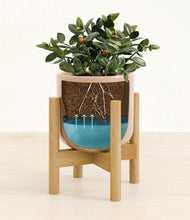 Load image into Gallery viewer, Glossy Pink stand:bamboo