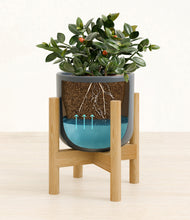 Load image into Gallery viewer, Iron Gray stand:bamboo