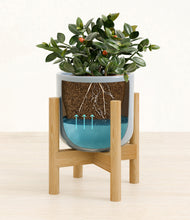 Load image into Gallery viewer, Misty Blue stand:bamboo