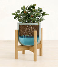Load image into Gallery viewer, Misty Blue stand:bamboo