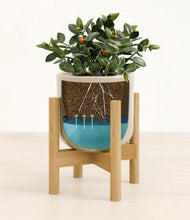 Load image into Gallery viewer, Sage Green stand:bamboo