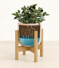 Load image into Gallery viewer, Sandy Pink stand:bamboo