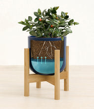 Load image into Gallery viewer, Twilight Blue stand:bamboo