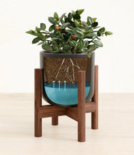 Load image into Gallery viewer, Stone Black stand:walnut