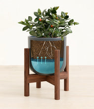 Load image into Gallery viewer, Iron Gray stand:walnut