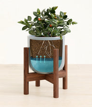 Load image into Gallery viewer, Misty Blue stand:walnut