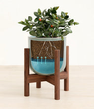 Load image into Gallery viewer, Misty Blue stand:walnut