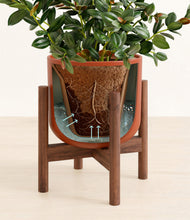 Load image into Gallery viewer, Earth Red stand:walnut