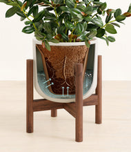 Load image into Gallery viewer, Natural Bamboo stand:walnut