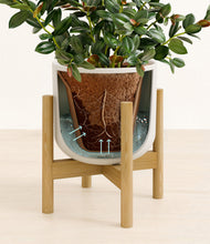 Load image into Gallery viewer, Natural Bamboo stand:bamboo