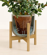 Load image into Gallery viewer, Sage Green stand:bamboo