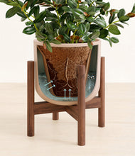 Load image into Gallery viewer, Sandy Pink stand:walnut