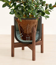 Load image into Gallery viewer, Stone Black stand:walnut