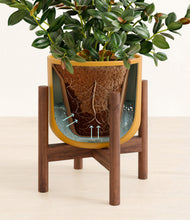 Load image into Gallery viewer, Sunset Orange stand:walnut