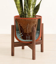 Load image into Gallery viewer, Earth Red stand:walnut