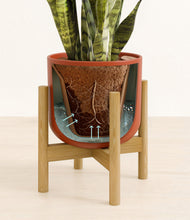 Load image into Gallery viewer, Earth Red stand:bamboo