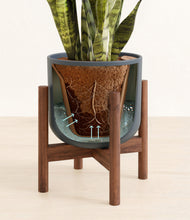 Load image into Gallery viewer, Iron Gray stand:walnut