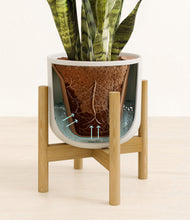 Load image into Gallery viewer, Natural Bamboo stand:bamboo