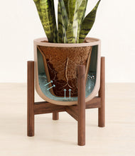 Load image into Gallery viewer, Sandy Pink stand:walnut