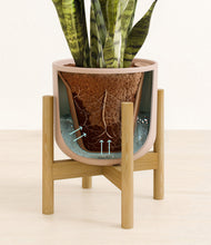 Load image into Gallery viewer, Sandy Pink stand:bamboo