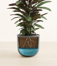 Load image into Gallery viewer, Iron Gray