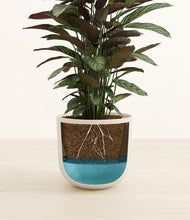 Load image into Gallery viewer, Natural Bamboo