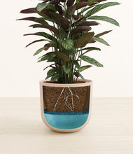 Load image into Gallery viewer, Sandy Pink