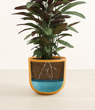 Load image into Gallery viewer, Sunset Orange