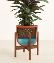 Load image into Gallery viewer, Earth Red stand:walnut