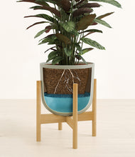 Load image into Gallery viewer, Sage Green stand:bamboo