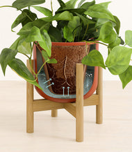 Load image into Gallery viewer, Earth Red stand:bamboo