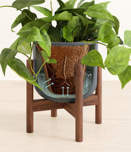 Load image into Gallery viewer, Iron Gray stand:walnut