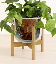 Load image into Gallery viewer, Natural Bamboo stand:bamboo