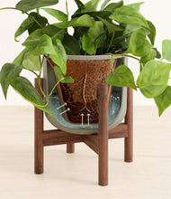 Load image into Gallery viewer, Sage Green stand:walnut