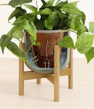 Load image into Gallery viewer, Sage Green stand:bamboo