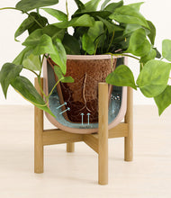 Load image into Gallery viewer, Sandy Pink stand:bamboo