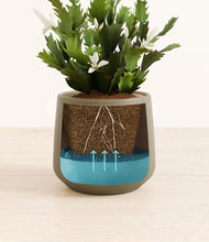 Load image into Gallery viewer, Olive