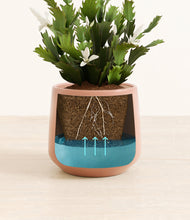 Load image into Gallery viewer, Calm Rose