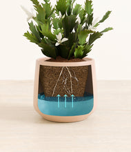 Load image into Gallery viewer, Almond Green