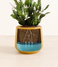 Load image into Gallery viewer, Mustard